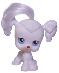 #0017 Poodle