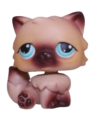#0022 Persian Cat