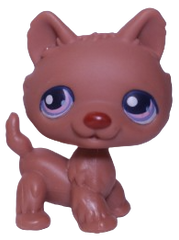 #0039 Husky