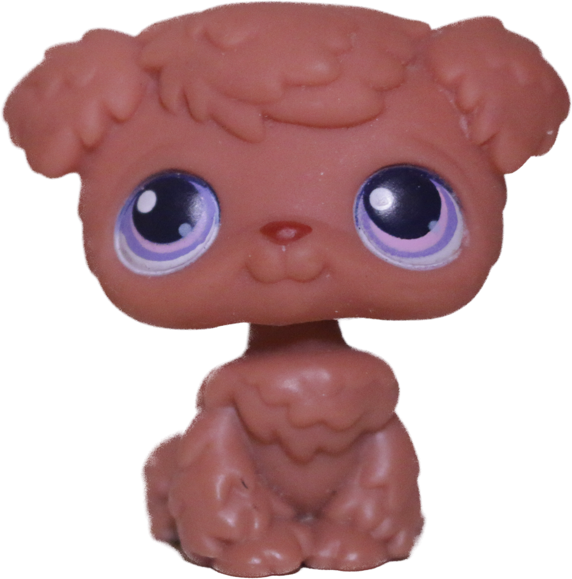 #0039 Poodle Puppy