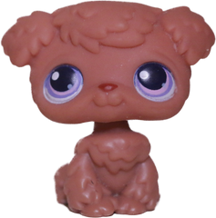 #0039 Poodle Puppy