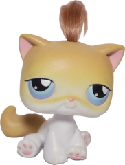 #0042 Sitting Cat