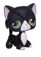 #0055 Angora Longhair Cat