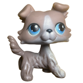 #0067 Collie