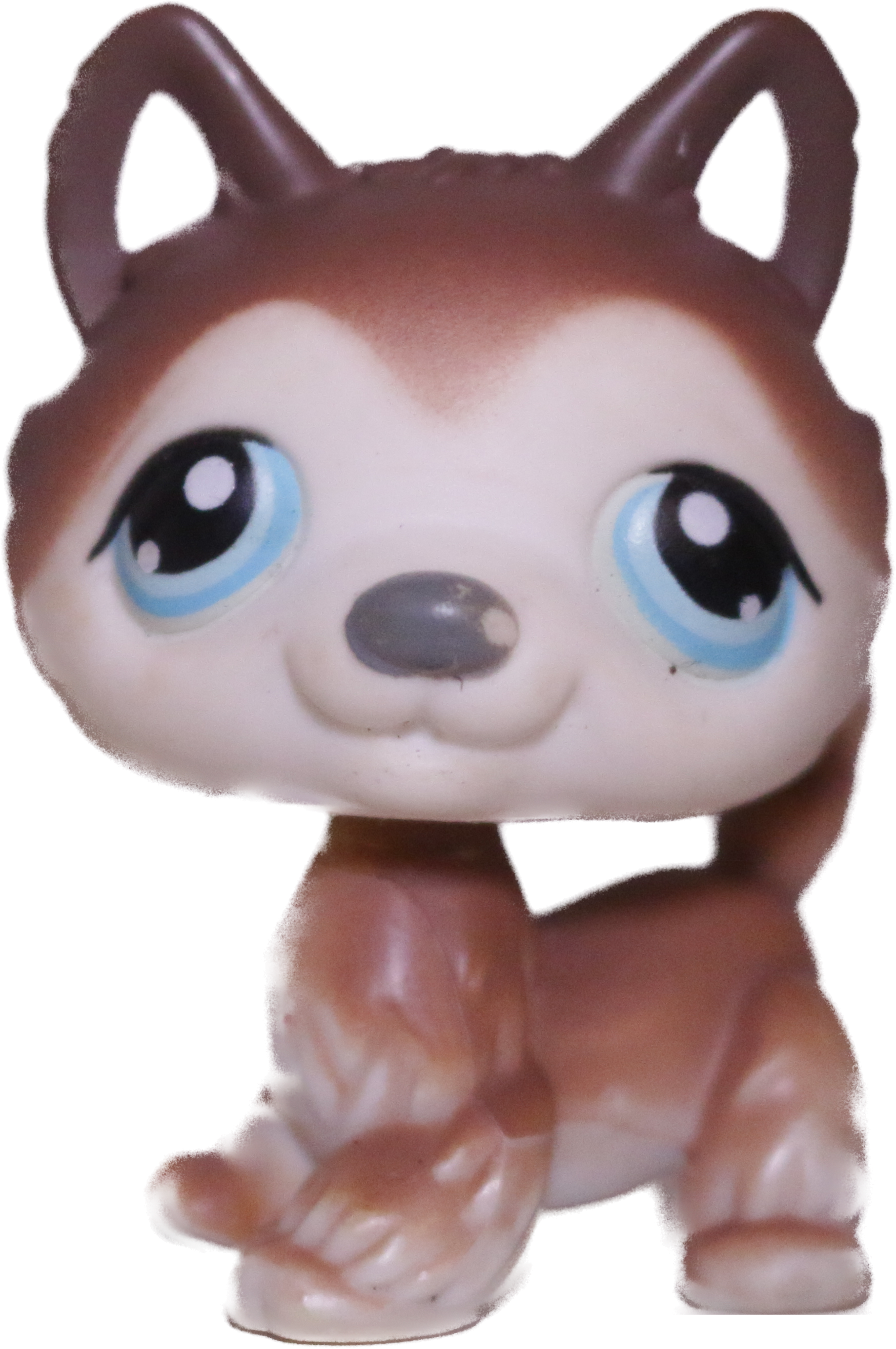 #0068 Husky