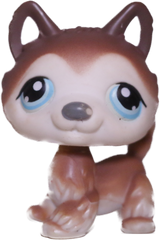 #0068 Husky