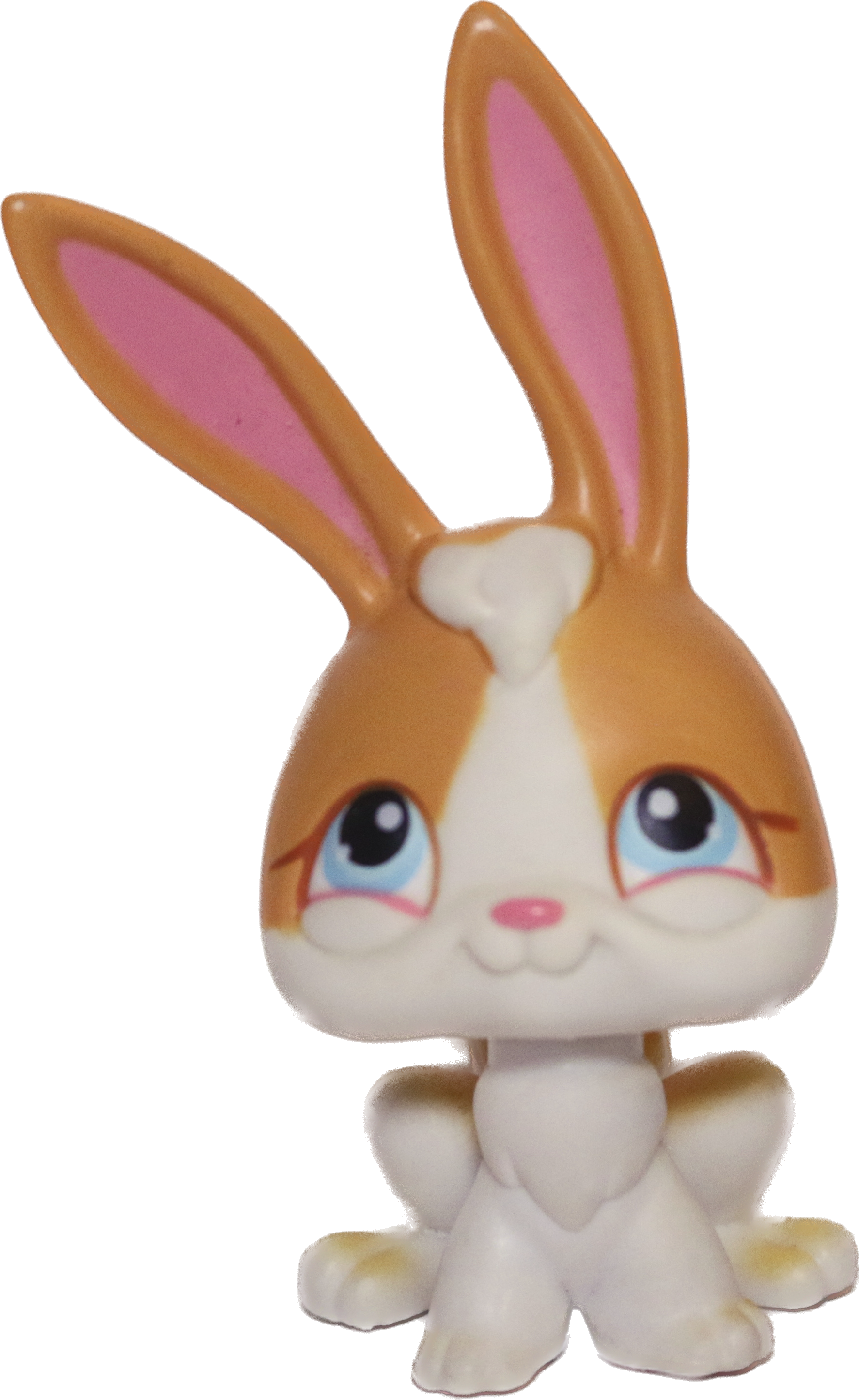 #0075 Rabbit