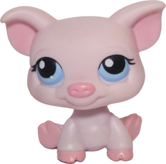 #0087/305 Pig
