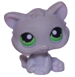 #0088 Kitten