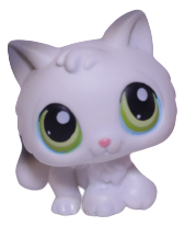#0100 Kitten