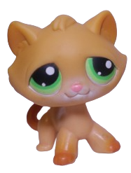 #0110 Shorthair Cat