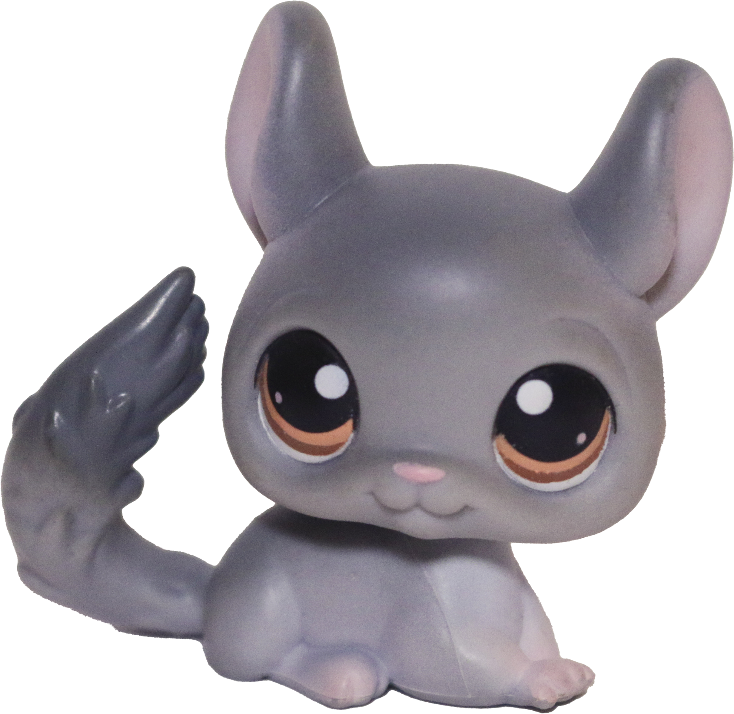 #0144 Chinchilla