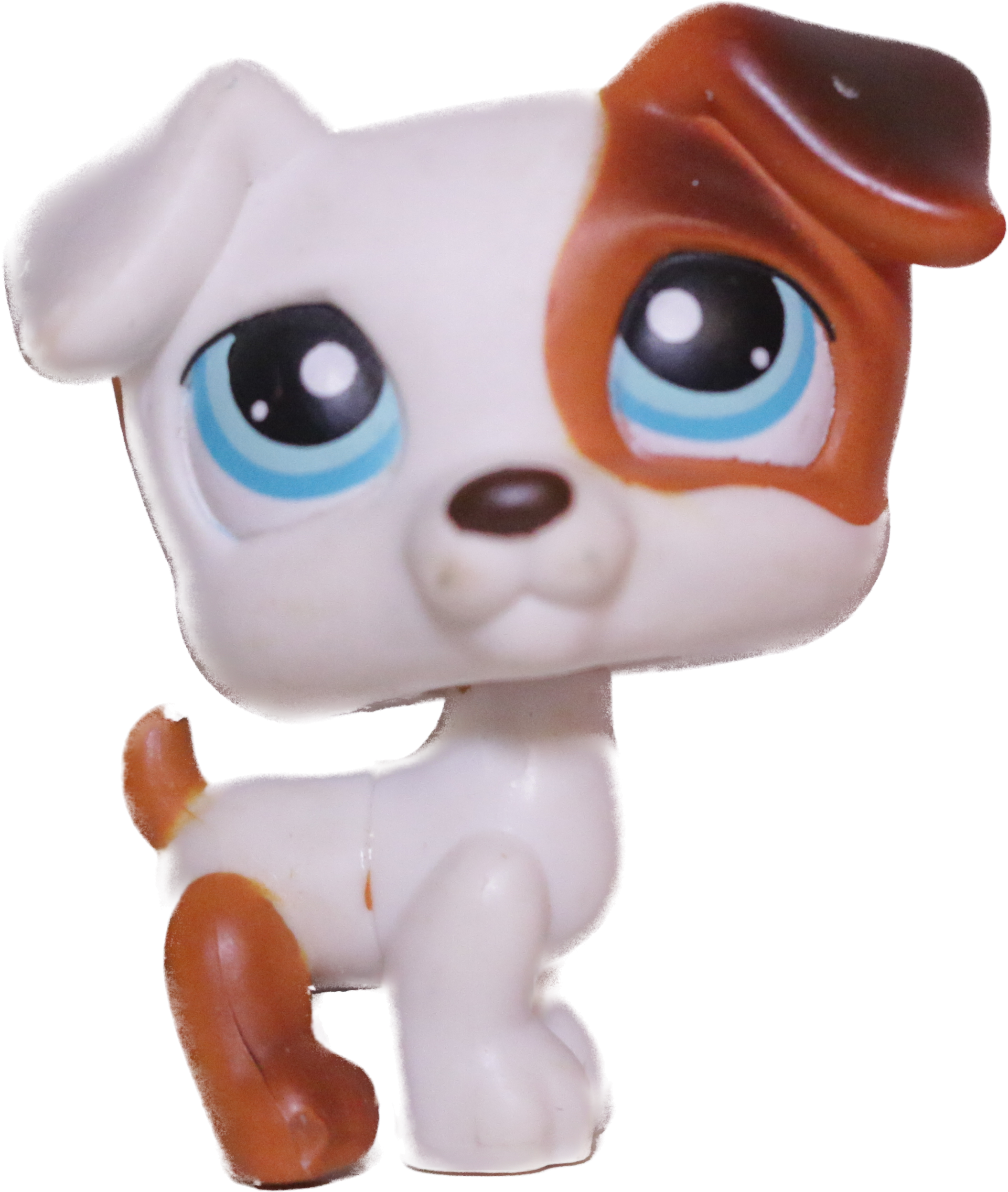 #0151 Jack Russell