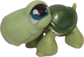 #0187 Turtle