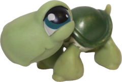 #0187 Turtle