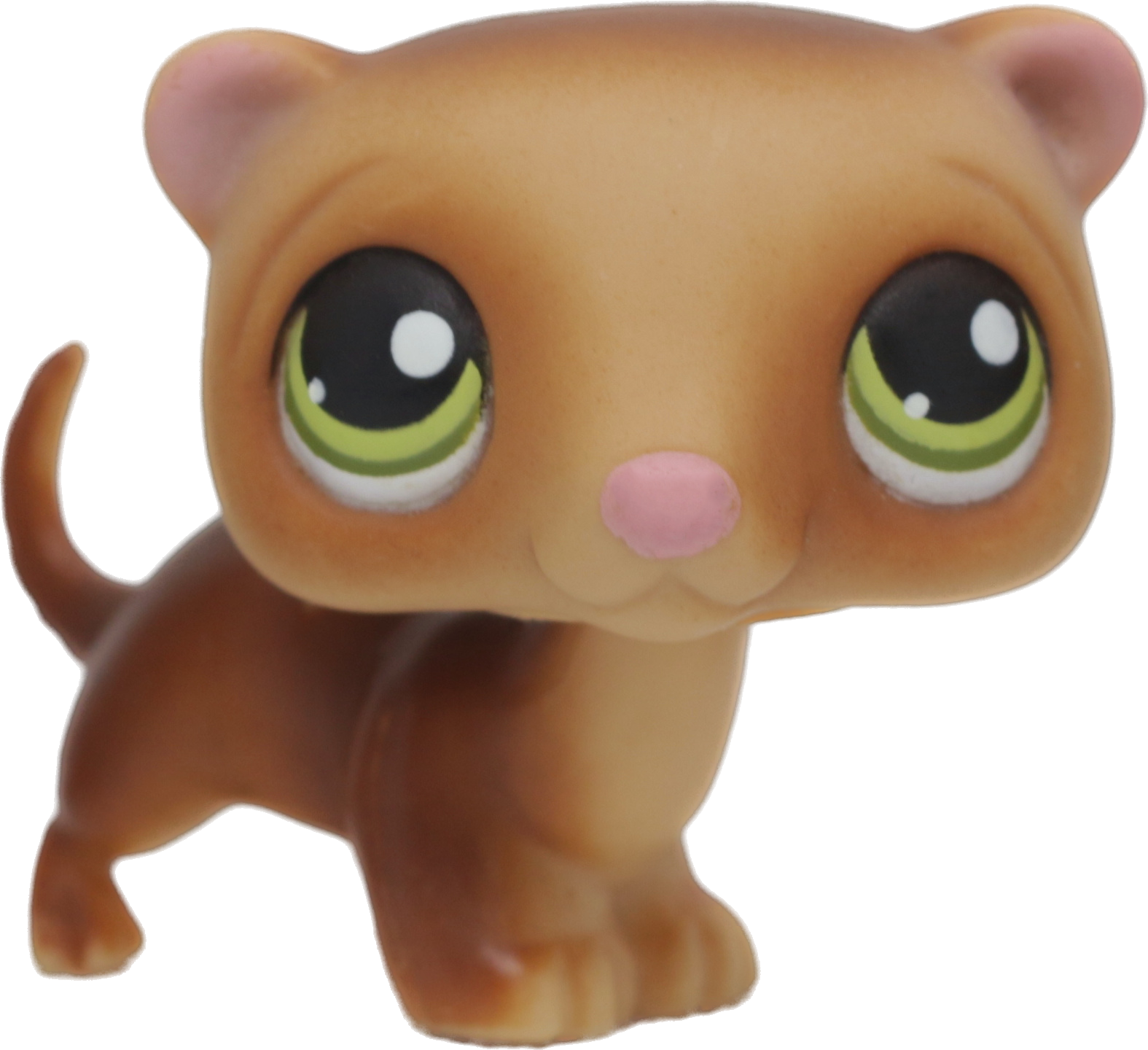 #0209 Ferret