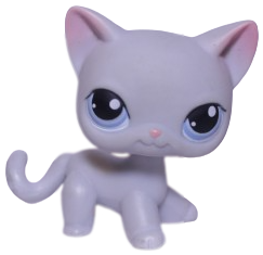 #0246 Shorthair Cat