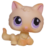 #0248 Kitten