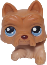 #0249 Scottish Terrier