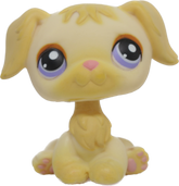 #0268 Golden Retriever