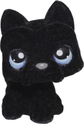 #0315 Scottish Terrier