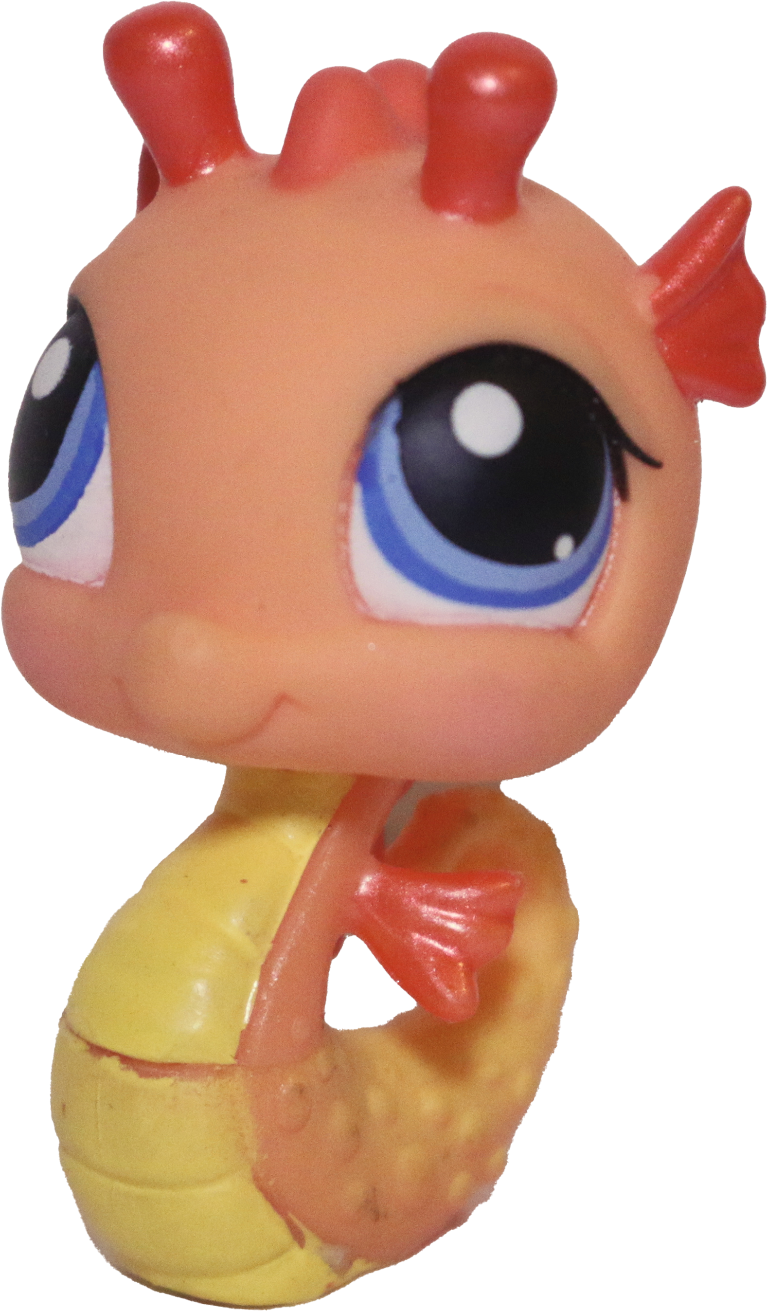 #0315 Seahorse