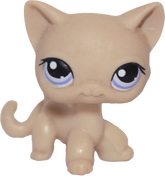 #0318 Shorthair Cat (Deflocked)