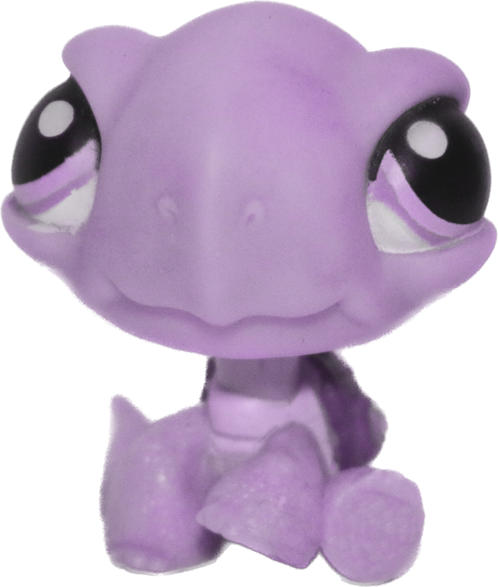 Custom Base: Tortoise