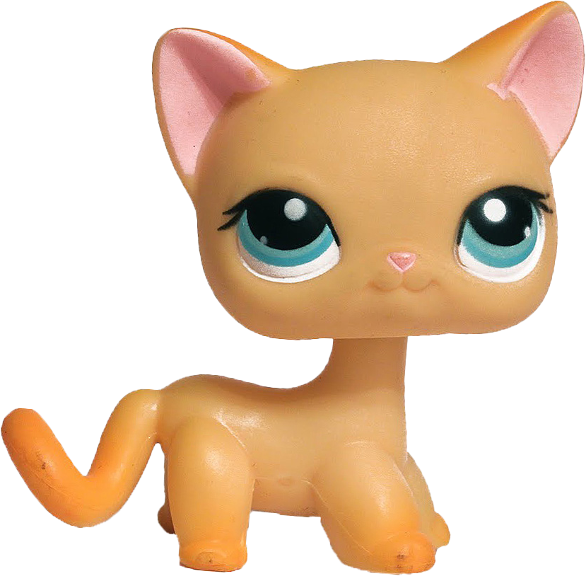 #0339 Shorthair Cat