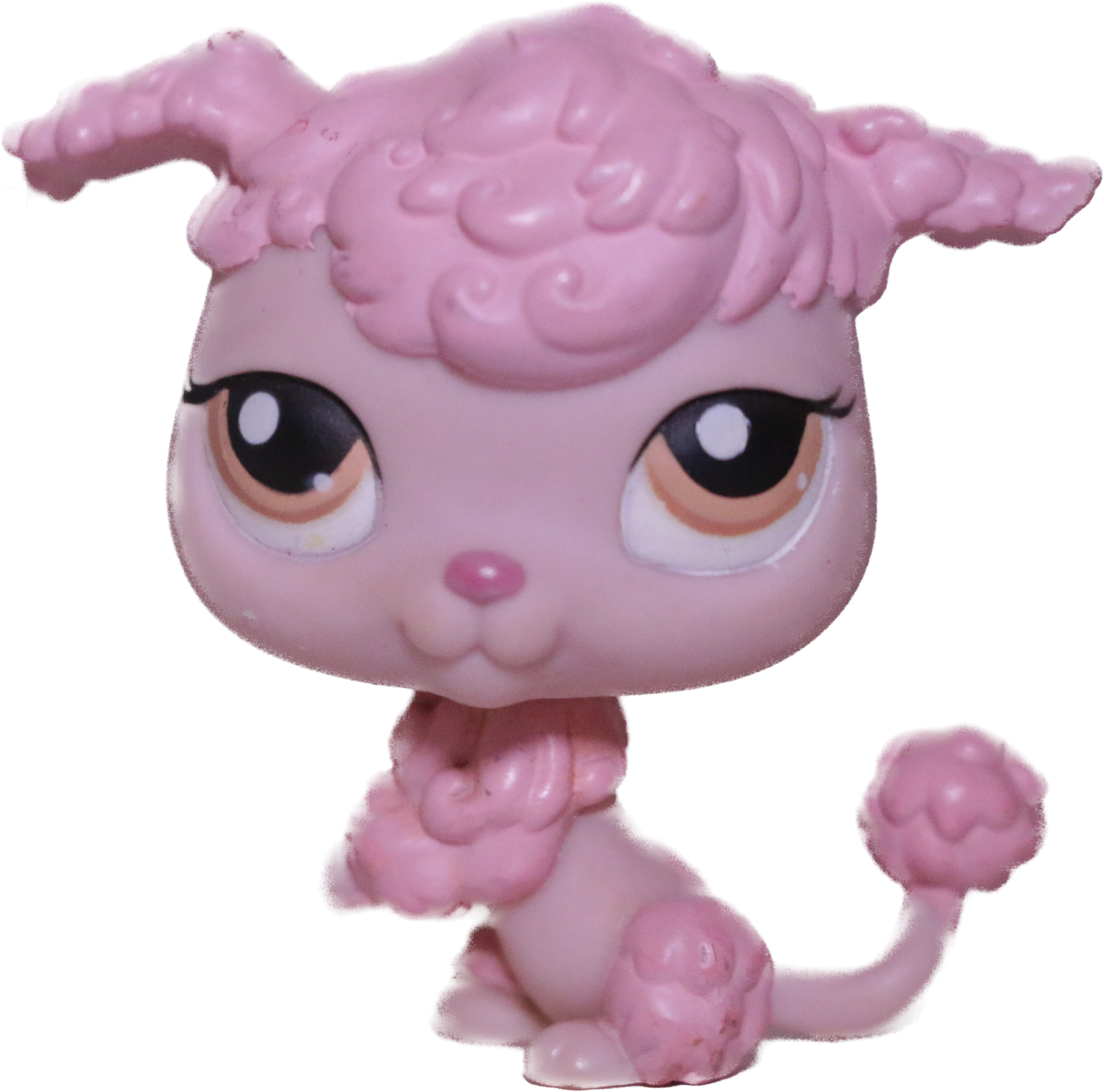 #0402 Poodle