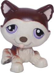#0427 Husky