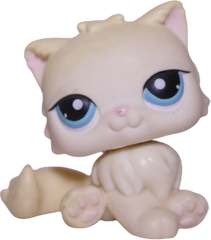 #0428 Persian Cat