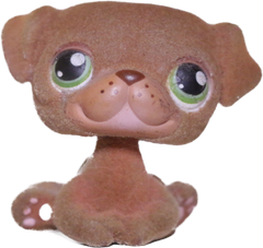 #0439 Pug