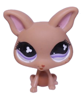 #0461 Chihuahua