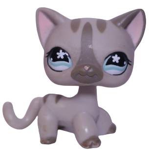 Littlest PET SHOP - Authentic #468 Chat Européen cat Hasbro Littlest PET SHOP - Authentic #468 Chat Européen cat Hasbro