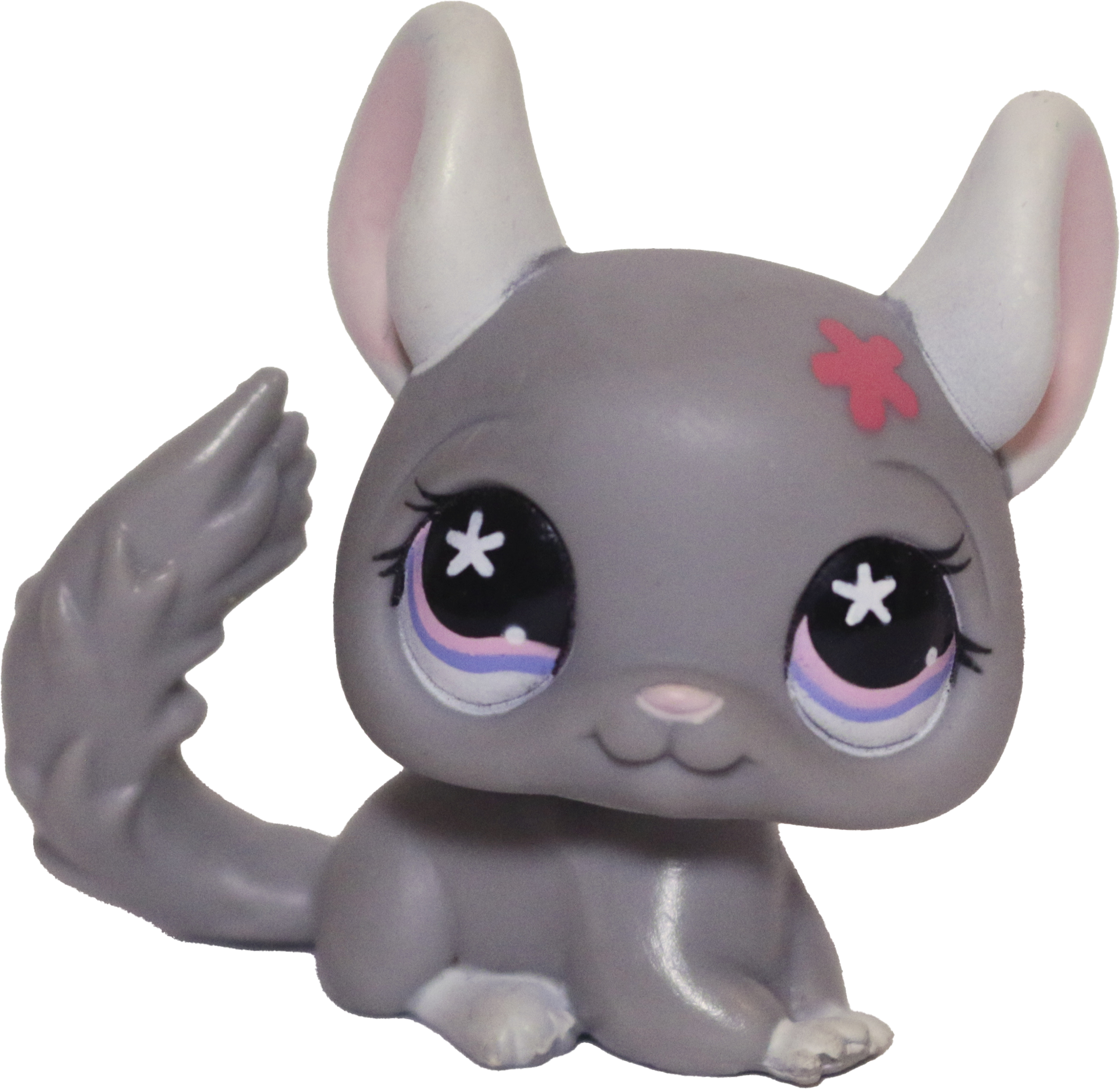 #0495 Chinchilla