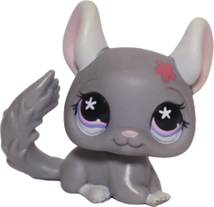 #0495 Chinchilla