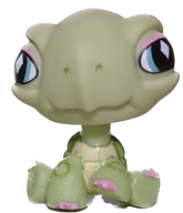 #0504/965 Turtle