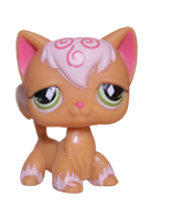 #0511 Angora Longhair Cat