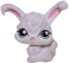 #0515 Angora Rabbit