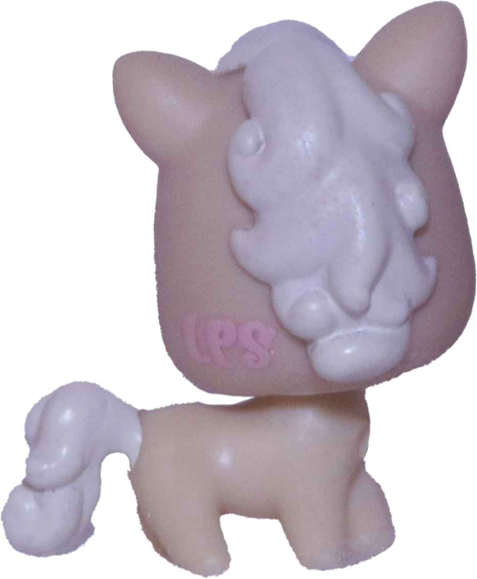 #2564 Baby Horse