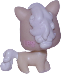 #2564 Baby Horse