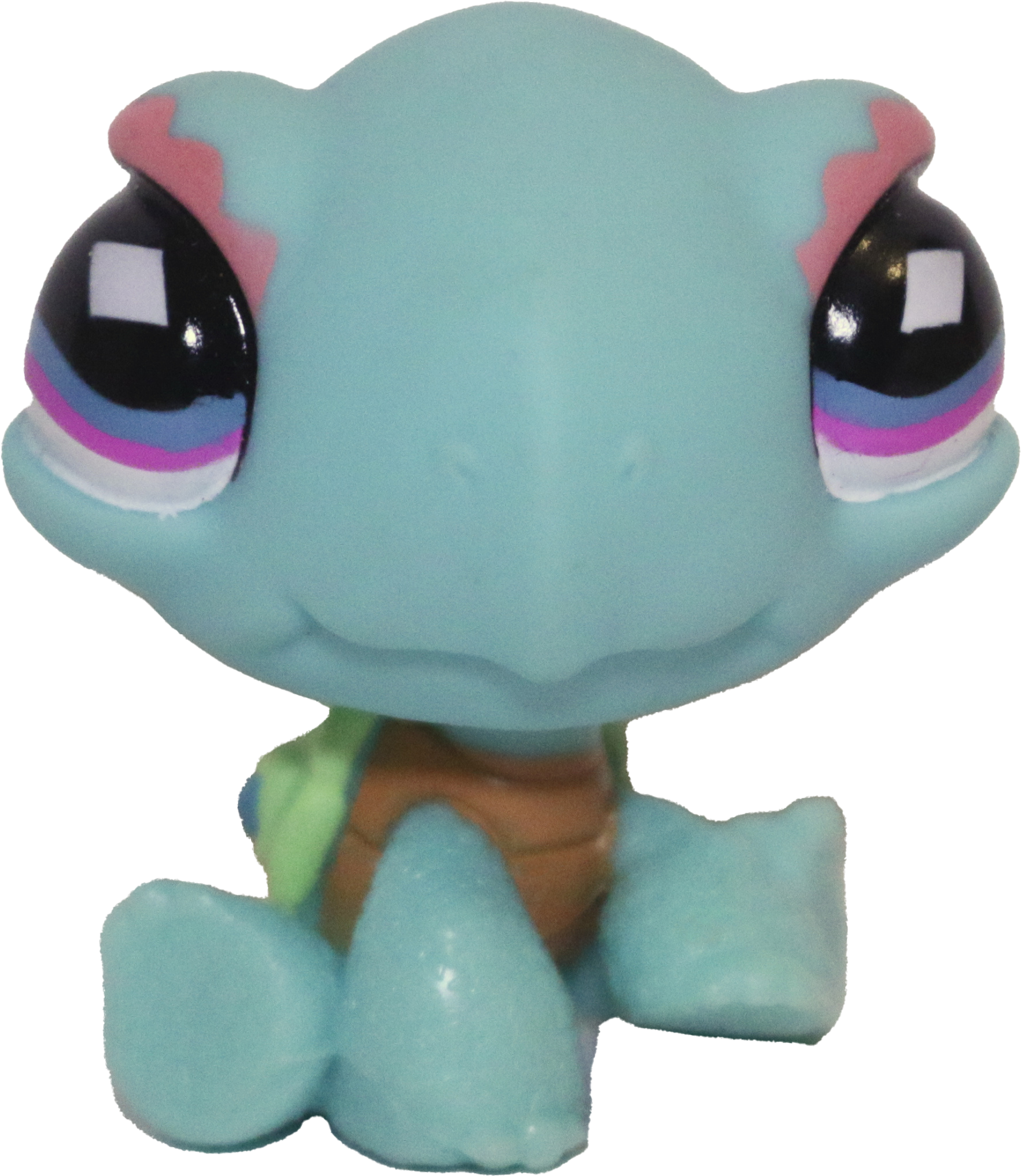#0522 Turtle
