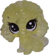 Unknown # Teensy Poodle