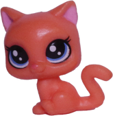 Unknown # Teensy Kitten