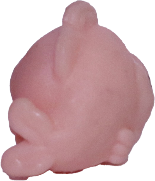 #2-B1 Teensy Fish