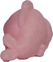 #2-B1 Teensy Fish