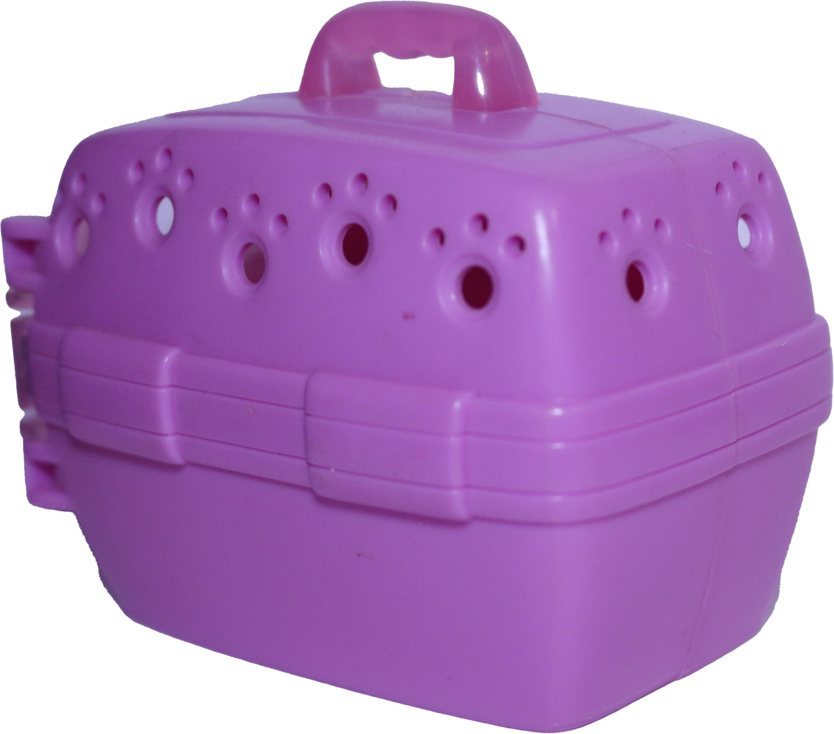 Travel Pet Carrier
