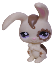 #0582 Rabbit