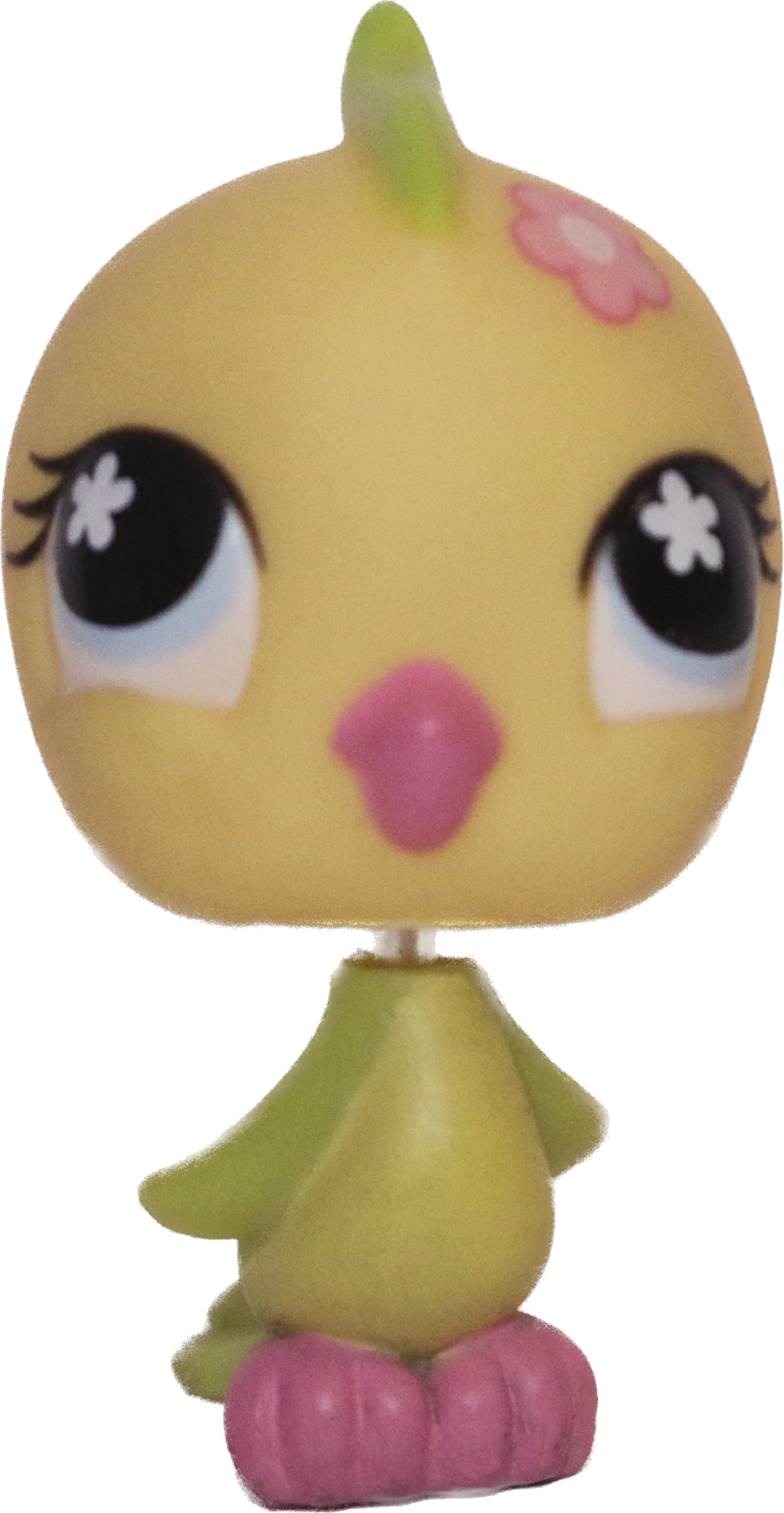 #0595 Parakeet